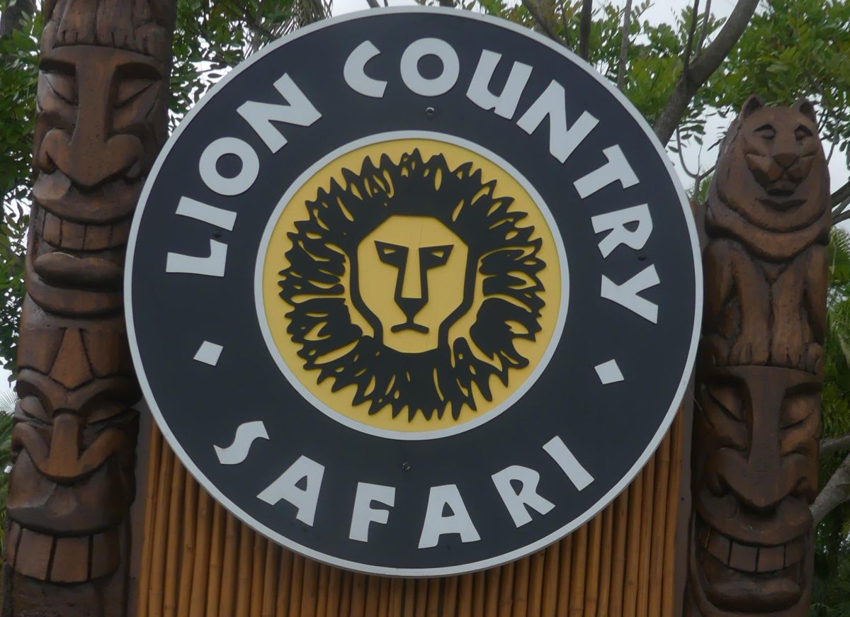 Discovering God’s Majesty at Lion Country Safari