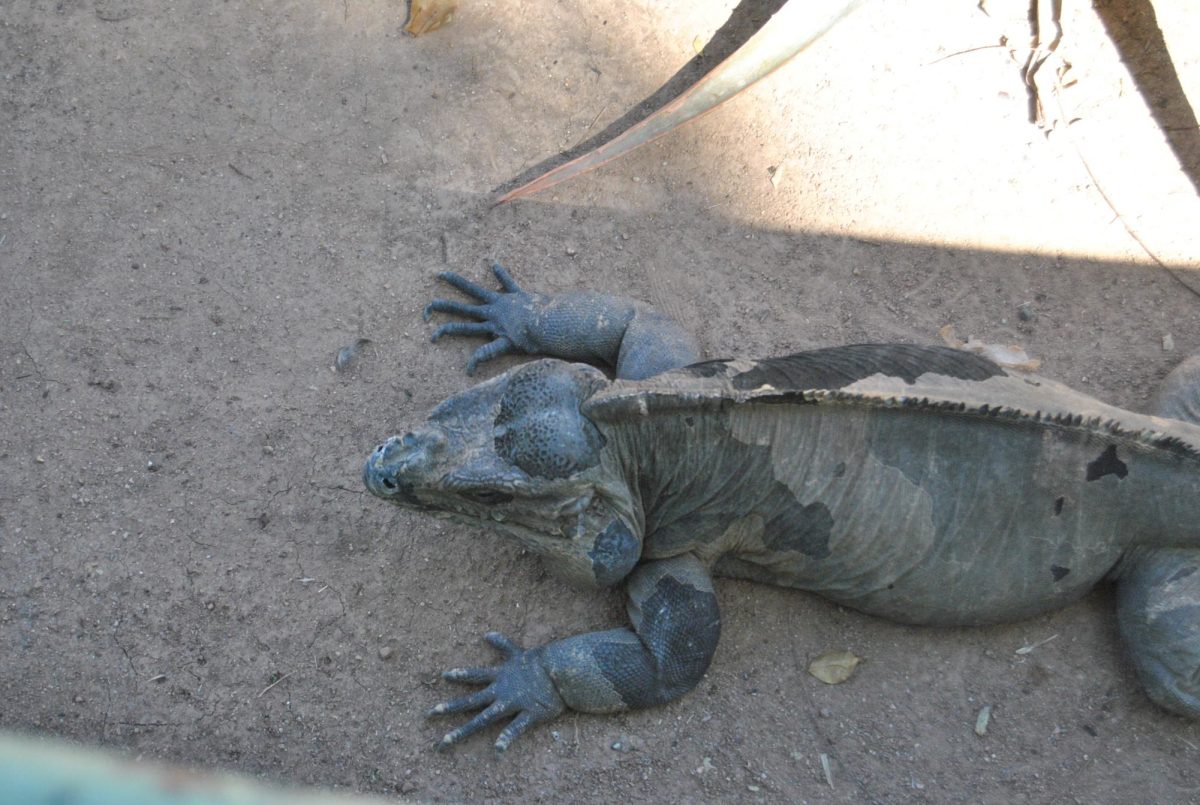 Papago Zoo (91)